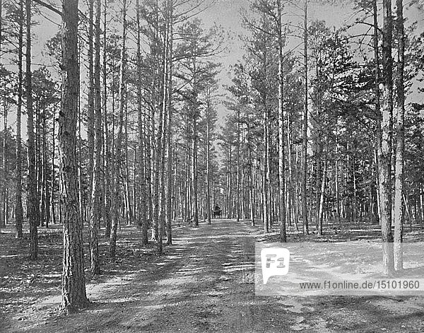Fahrt im Piney Wods Park  Lakewood  New Jersey   um 1897. Schöpfer: Unbekannt.