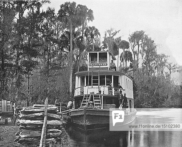 On the Ocklawaha River  Florida  USA  c1900. Creator: Unknown.