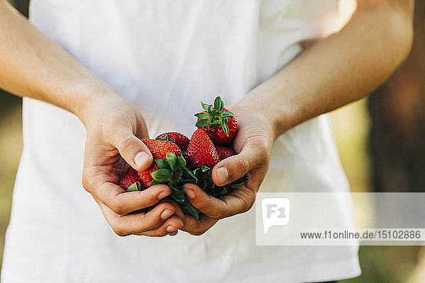 Hände eines jungen Mannes mit Erdbeeren