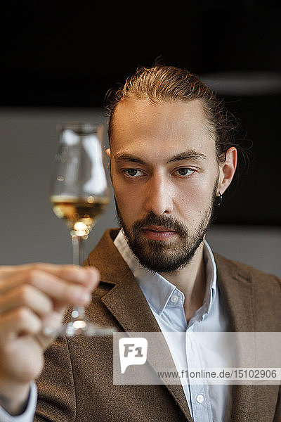 Young man examining glass of wine