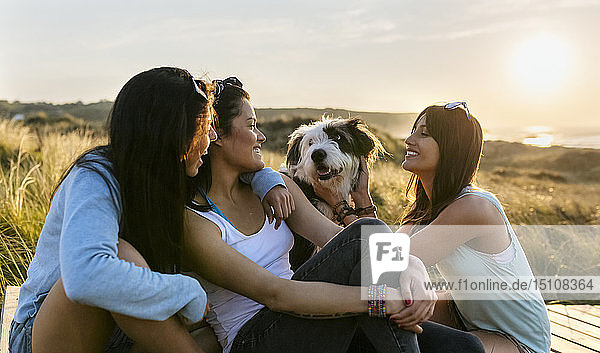 Drei glückliche Frauen mit Hund sitzen bei Sonnenuntergang auf einer Strandpromenade in den Dünen