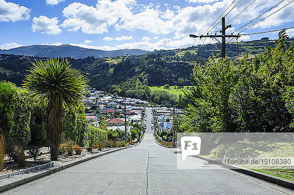 Baldwin Street  die steilste Wohnstraße der Welt  Dunedin  Südinsel  Neuseeland