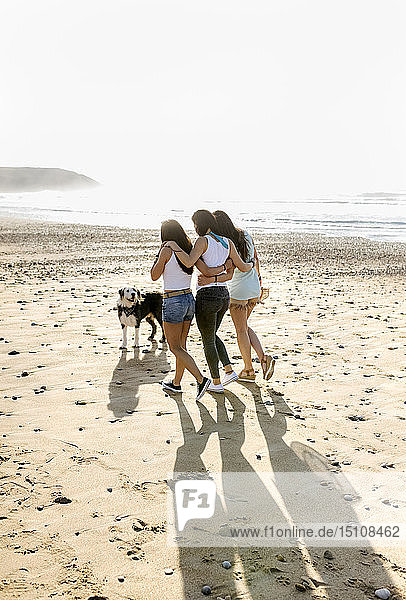 Three women with dog walking on the beach