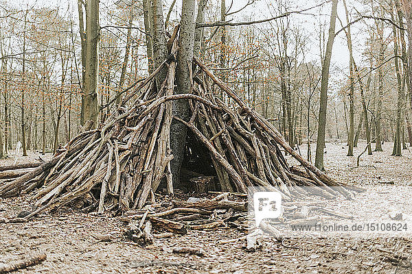 An einem Baumstamm im Wald errichtete Stämme