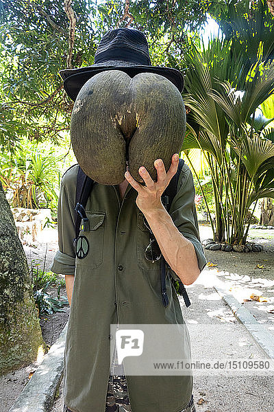 Seychellen  Mann versteckt sein Gesicht hinter der riesigen Saat von Coco de Mer