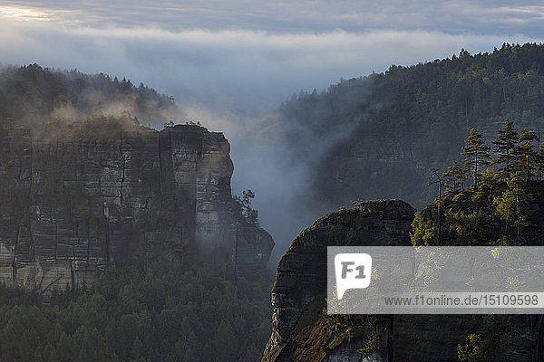 Deutschland  Sachsen  Elbsandsteingebirge  Blick vom Gleitmannshorn auf Sandsteinfelsen mit Nebel bei Sonnenaufgang