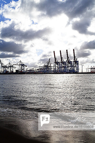 Hafenkräne im Hamburger Hafen  Hamburg  Deutschland