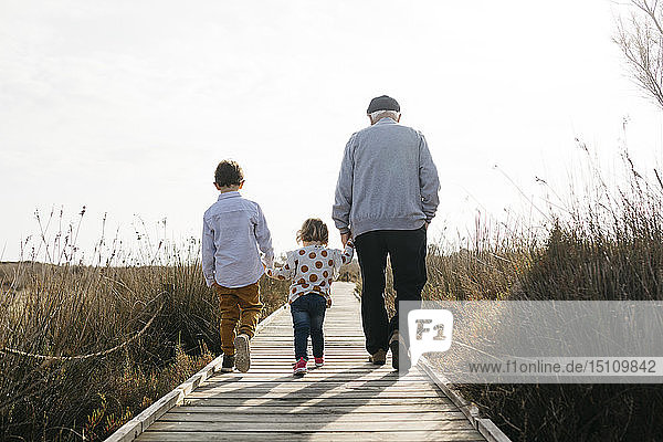 Rückansicht von Großvater und Enkelkindern  die Hand in Hand auf der Strandpromenade spazieren gehen