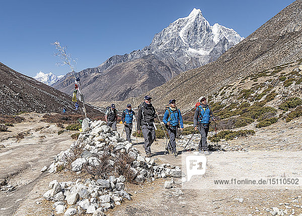 Nepal  Solo Khumbu  Everest  Sherpas führen Bergsteiger in der Nähe von Dingboche