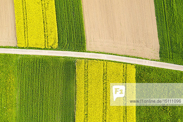 Deutschland  Baden-Württemberg  Luftaufnahme von Feldern mit Feldweg