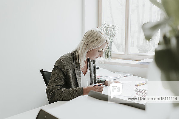 Young woman working at desk in office