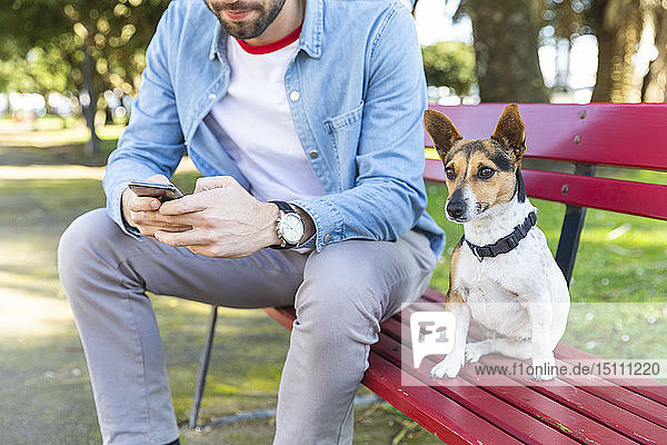 Porträt eines Hundes  der neben seinem Besitzer auf einer Parkbank sitzt