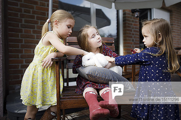 Drei Mädchen streicheln einen Hasen