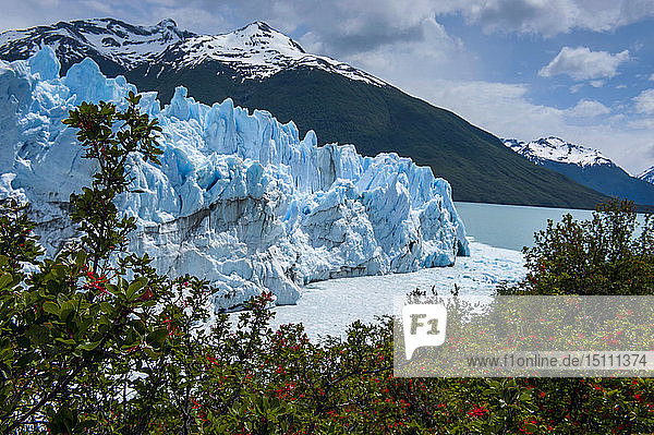 Gletscher Perito Moreno  El Calafate  Patagonien  Argentinien