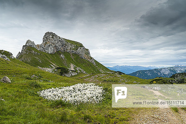 Österreich Tirol Maurach Rofangebirge