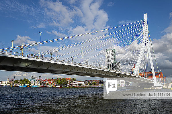 Erasmusbrug  Rotterdam  Netherlands