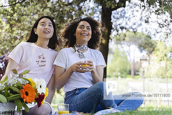Zwei glückliche Frauen beim Picknick im Park
