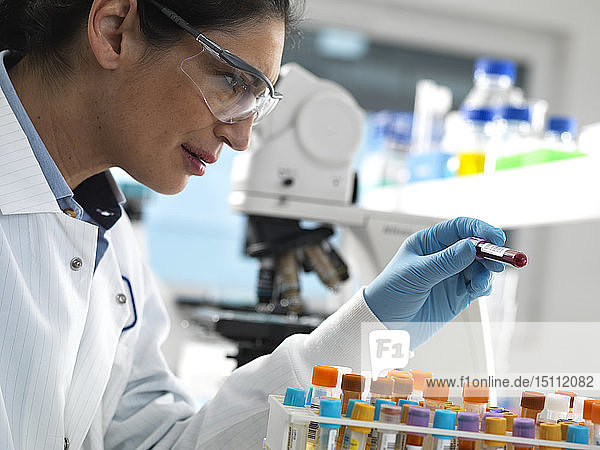 Laborant  der eine Vielzahl von menschlichen Proben für medizinische Tests im Labor vorbereitet