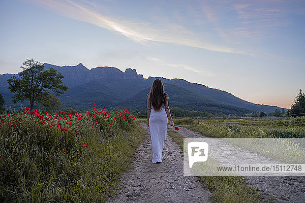 Rear view of elegant young woman holding a poppy in the countryside  Garrotxa  Spain