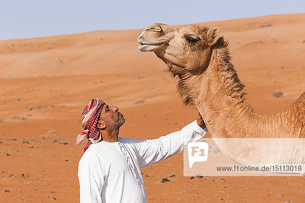 Beduine  die ihr Kamel in der Wüste streicheln  Wahiba Sands  Oman