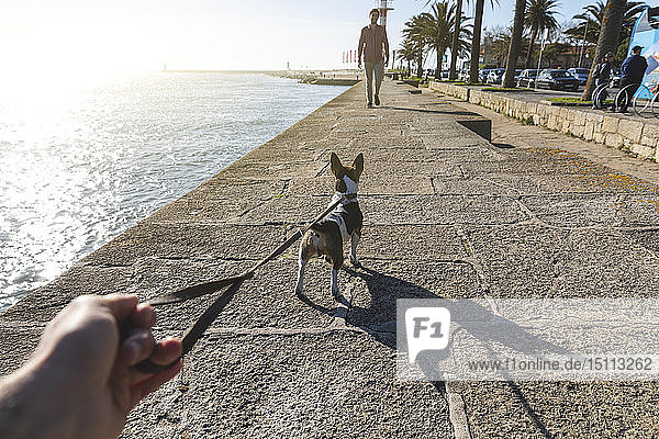 Portugal  Porto  Mann geht mit Hund auf der Promenade spazieren