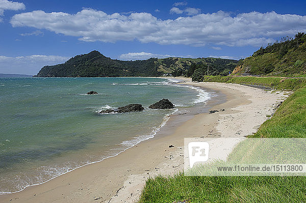 Einsamer Strand an der Küstenlinie von Northern Coromandel  Nordinsel  Neuseeland