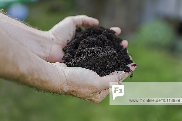 Close-up of man holding soil in garden