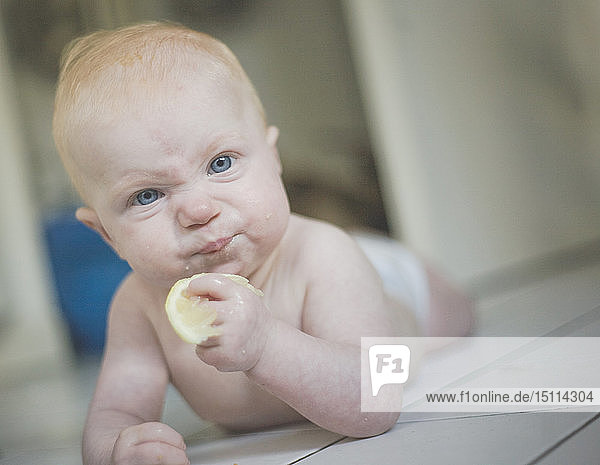 Porträt eines kleinen Mädchens  das eine Zitrone isst