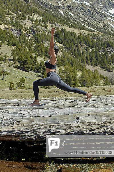 Junge Frau macht Yoga auf Baumstämmen in der Natur  Krieger-Pose