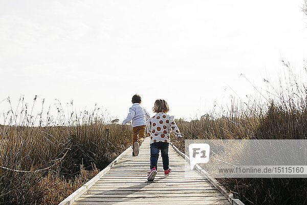Rückenansicht von zwei kleinen Kindern  die auf der Promenade laufen