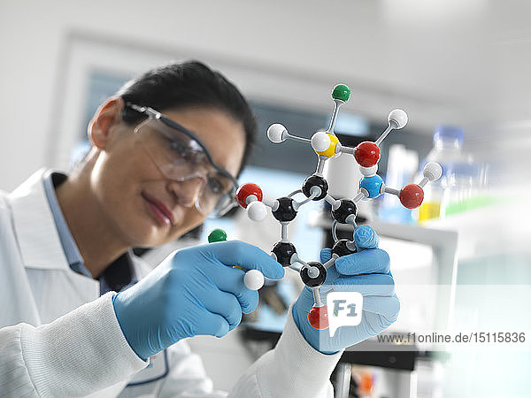 Biotech-Forschung  Wissenschaftlerin  die während eines Experiments ein molekulares Kugel-Stab-Modell einer chemischen Formel untersucht