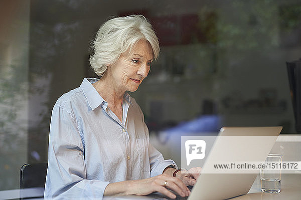 Porträt einer lächelnden reifen Frau  die zu Hause einen Laptop benutzt