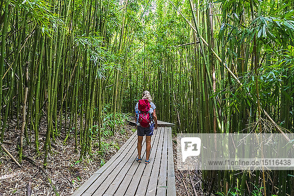Bambuswald  Frau auf dem Pipiwai-Pfad  Haleakala-Nationalpark  Maui  Hawaii  USA