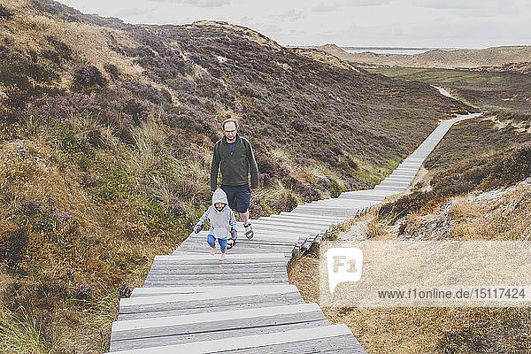 Father and little daughter walking up stairs among the dunes  Sylt  Germany