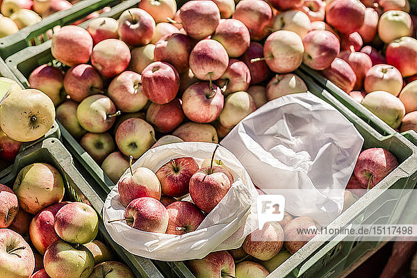 Stoffbeutel und Plastiktüte auf Kisten mit Äpfeln auf dem Wochenmarkt