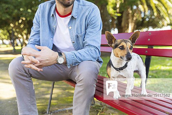 Hund auf Parkbank mit seinem Besitzer