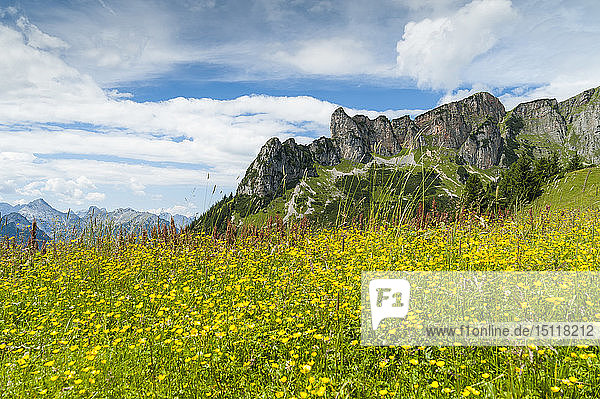 Österreich Tirol Maurach Rofangebirge