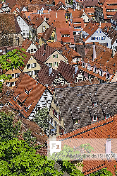 Townscape from above  Tuebingen  Baden-Wuerttemberg  Germany