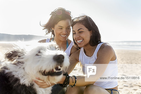Glückliche Freundinnen mit Hund am Strand