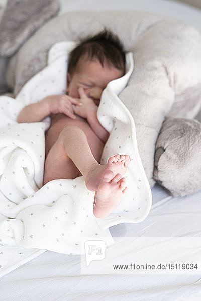 Newborn baby lying on blanket in bed