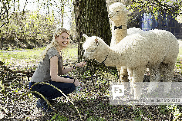 Portrait of happy woman feeding alpaca