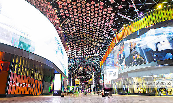 Vereinigte Arabische Emirate  Dubai  Dubai Mall