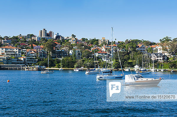Segelboote im Hafen von Sydney  New South Wales  Australien
