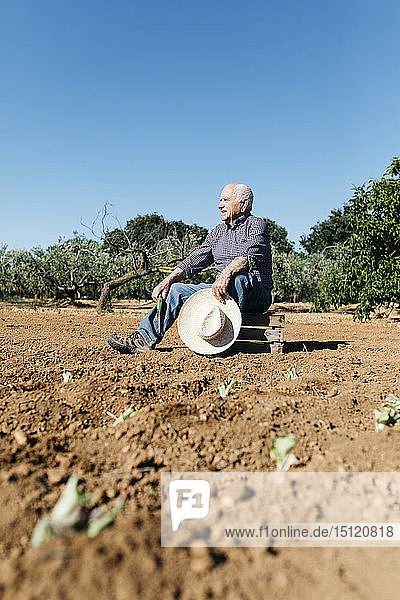 Senior-Landwirt auf Holzkiste sitzend  nachdem er Gemüse im Garten gepflanzt hat