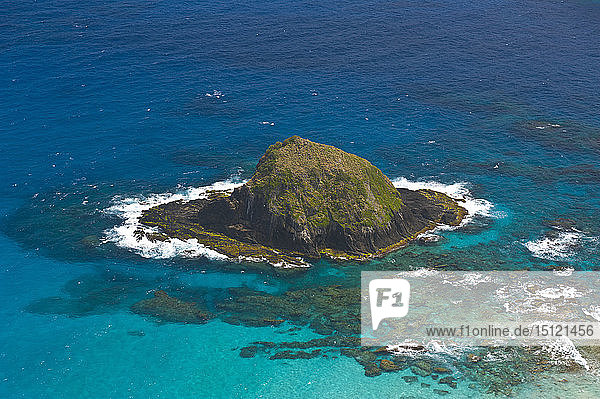 Blick vom Malabar Hill auf die kleine Insel auf Lord Howe Island  New South Wales  Australien