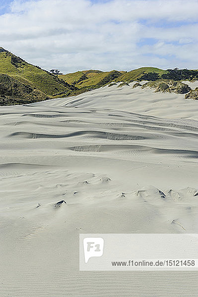 Weiße Sanddünen am Wharariki Beach  Südinsel  Neuseeland