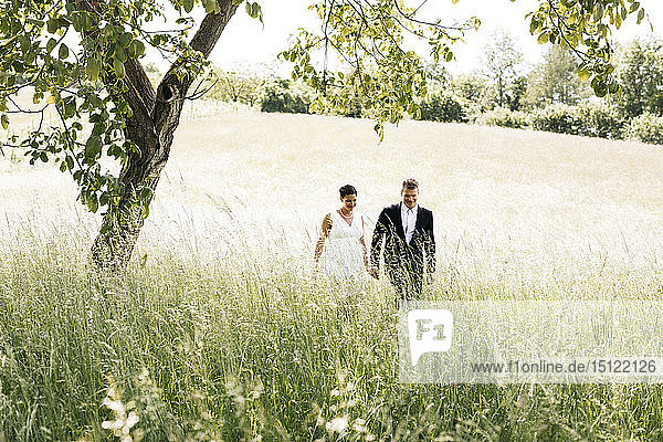 Pregnant bride and her husband walking on a meadow