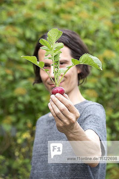 Gärtner mit Bio-Rettich