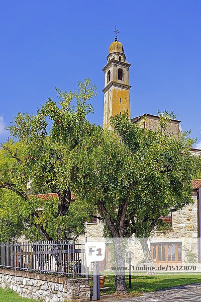 Chiesa di Santa Maria Assunta  Arqua Petrarca  Venetien  Italien  Europa