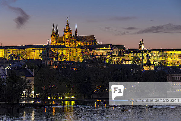 Illuminated Prague Castle and St. Vitus Cathedral seen from the banks of Vltava River  UNESCO World Heritage Site  Prague  Bohemia  Czech Republic  Europe